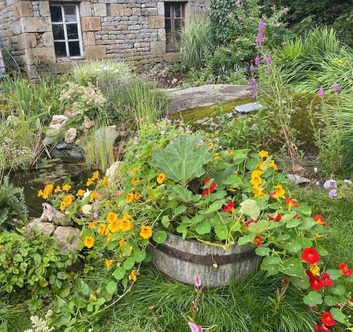 Le Petit Fleur - The Little Flower, Cosy Cottage Saint-Michel-de-Montjoie Eksteriør bilde