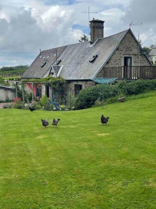 Le Petit Fleur - The Little Flower, Cosy Cottage Saint-Michel-de-Montjoie Eksteriør bilde